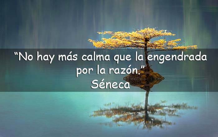 Tomar las cosas con calma, siempre es bueno