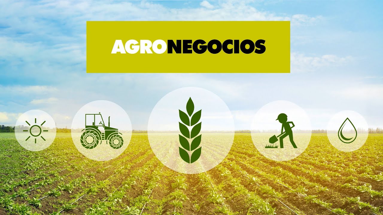 Agronegocios